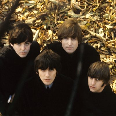 Beatle Wig